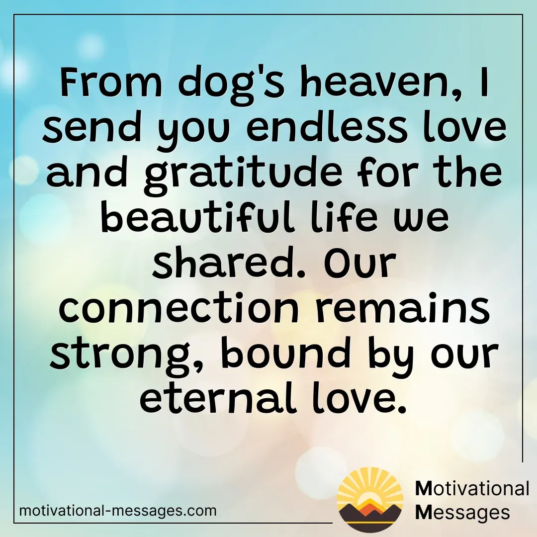Dog's Heaven Endless Love Card