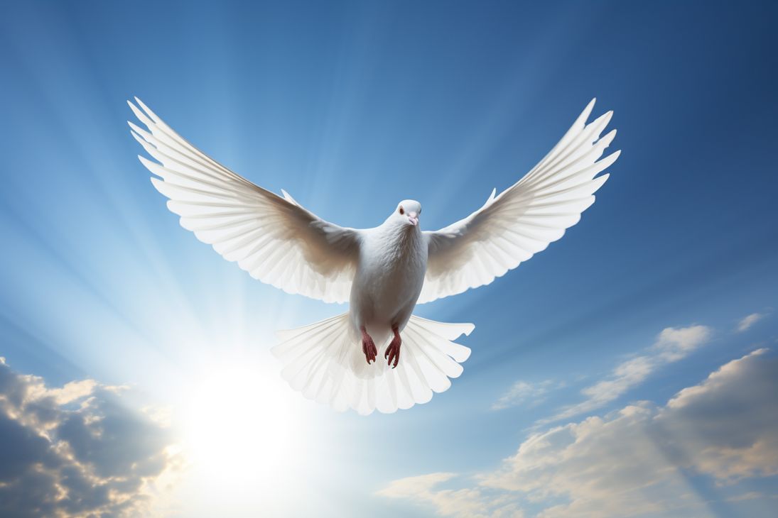 Dove representing the Holy Spirit