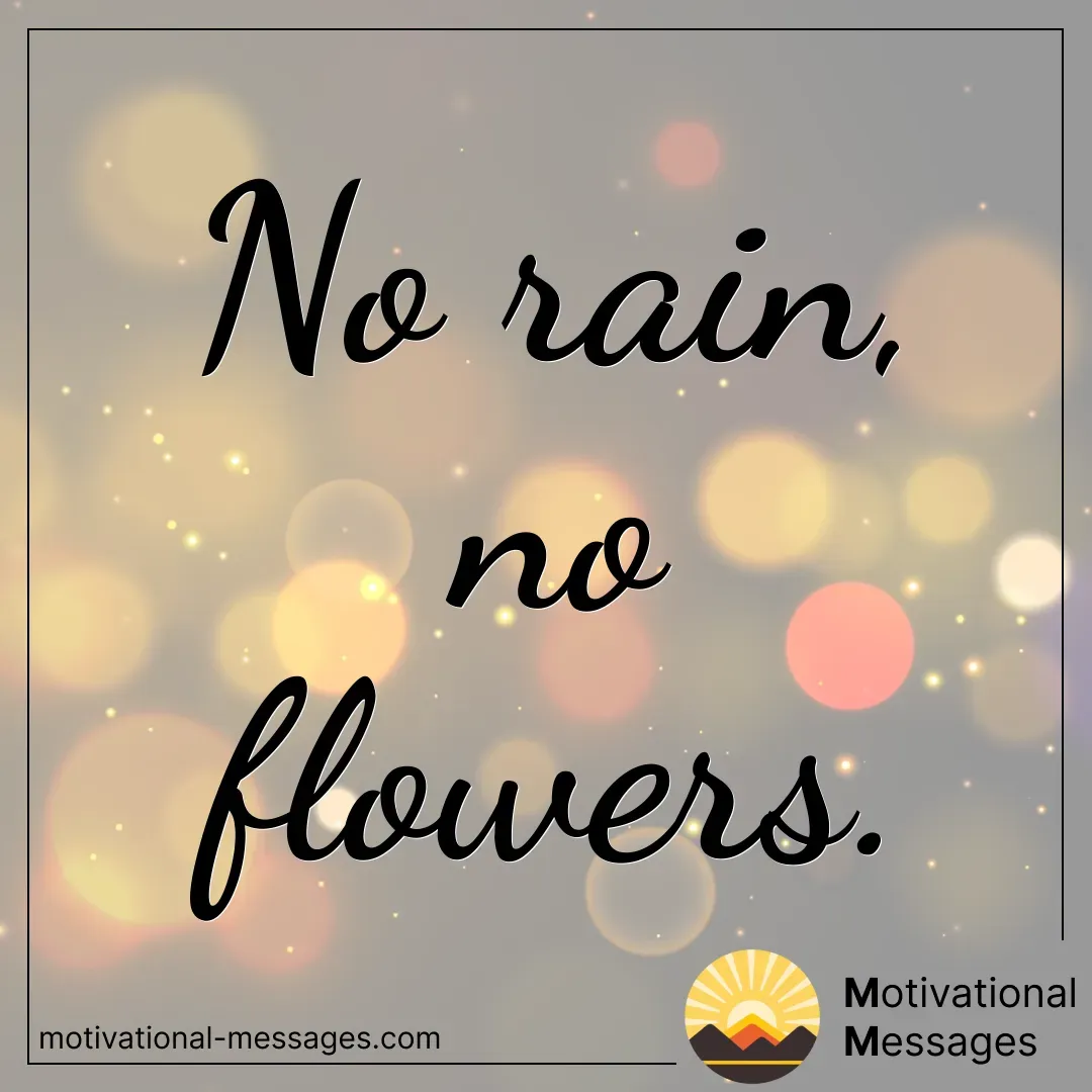 No Rain, No Flowers card