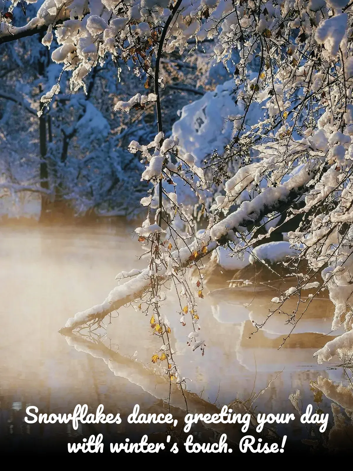 Winter wonderland: A tree heavily laden with freshly fallen snow against a sunlit sky